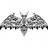 Awesome tribal bat with curl decorations tattoo design