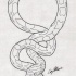 Awesome two headed snake tattoo design by Narcissus Tattoos