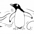Baby penguin in different poses tattoo design by Twapa