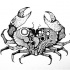 Beautiful black-and-white crab with charming pattern tattoo design