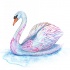 Beautiful blue-and-pink swan swimming in lake tattoo design