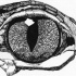 Beautiful concentrated black-and-white reptile eye tattoo design