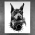 Beautiful doberman with luxury crown in teeth tattoo design