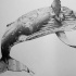 Beautiful dotwork jumping whale tattoo design