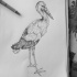 Beautiful dotwork long-legged bird tattoo design