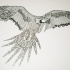 Beautiful grey-ink flying parrot tattoo design