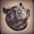 Beautiful grey-ink thinking grizzly portrait tattoo design
