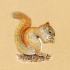 Beautiful orange squirrel standing on the ground tattoo design