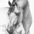 Beautiful realistic white horse tattoo design