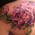 bellissimo peoni colore rosa tatuaggio su schiena