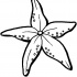 Beautiful soft flower-shaped starfish tattoo design