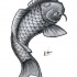 Big grey koi fish tattoo design