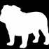 Big white bulldog silhouette on black background tattoo design