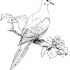 Big white dove sitting on flowered branch tattoo design