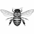 Black-and-white bee with ornated heart print on body tattoo design