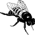 Black-and-white crawling bee tattoo design