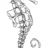 Black-and-white dotwork seahorse tattoo design