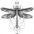 Black-and-white dragonfly on geometric drawings tattoo design