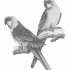 Black-and-white exotic bird couple tattoo design