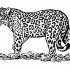 Black-and-white flexible jaguar standing on grass tattoo design
