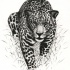 Black-and-white jaguar walking in the grass tattoo design