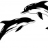 Black-and-white serious-faced dolphin couple tattoo design