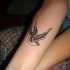 Tatuaje en el antebrazo, ave bonita que vuela