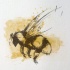 Black-color bee flying on orange watercolor background tattoo design