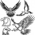 Black-color eagle tattoo designs