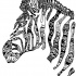 Black-ink different-patterned zebra head tattoo design