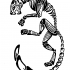 Black-ink flexible jaguar skeleton tattoo design by Captain Cougar