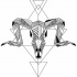 Black-ink geometric ram skull on outline drawings tattoo design