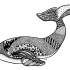 Black-ink ornamented whale tattoo design by Crazy Alchemist