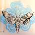Black-ink outline moth sitting on blue-ink indian patterns tattoo design