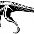 Black-skin dinosaur with white skeleton inside tattoo design
