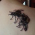 Tatuaje en la espalda, dos hormigas extraños