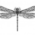 Black celtic-patterned dragonfly tattoo design