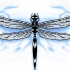 Black dragonfly on blue swirly background tattoo design