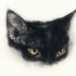 Black half-muzzle cat with cunning eyes tattoo design