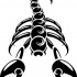 Black isolated scorpion in danger pose tattoo design