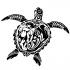 Black polynesian turtle tattoo design