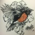 Black sparrow with orange breast in grey clouds tattoo design