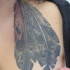 nere grande piume di aquila tatuaggio su spalla