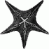 Black starfish with white pimples tattoo design