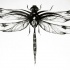 Black static dragonfly tattoo design