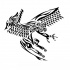 Desenho de tatuagem de grifo tribal preto voando