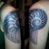 Blackwork estilo grande tatuagem do braço superior do escudo nautilus