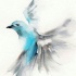 Blue-and-grey flying bird tattoo design