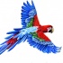 Blue-and-red flying parrot tattoo design by Anangelic Day