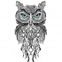 Blue-eyed patterned owl tattoo design